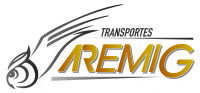 TRANSPORTES AREMIG SA DE CV